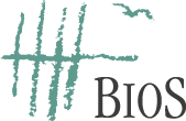 BIOS Logo